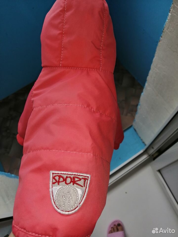 Куртка для тоя купить на Зозу.ру - фотография № 1