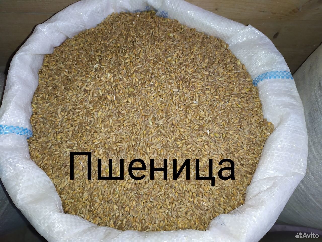 Комбикорм,зерно,дробленка купить на Зозу.ру - фотография № 2