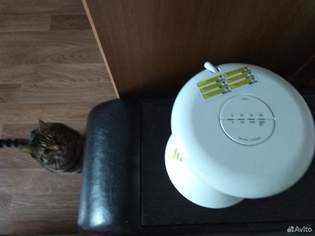 Автоматическая лазерная игрушка для кошек купить на Зозу.ру - фотография № 2