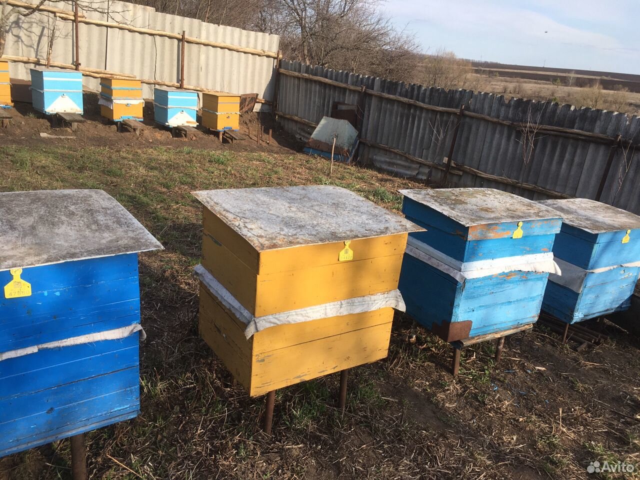 Улей и пчёлы купить на Зозу.ру - фотография № 2