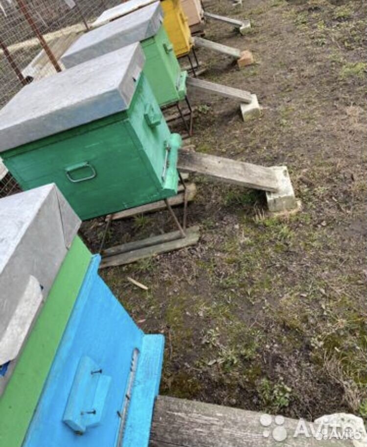 Ульи для пчёл и медогонка купить на Зозу.ру - фотография № 1