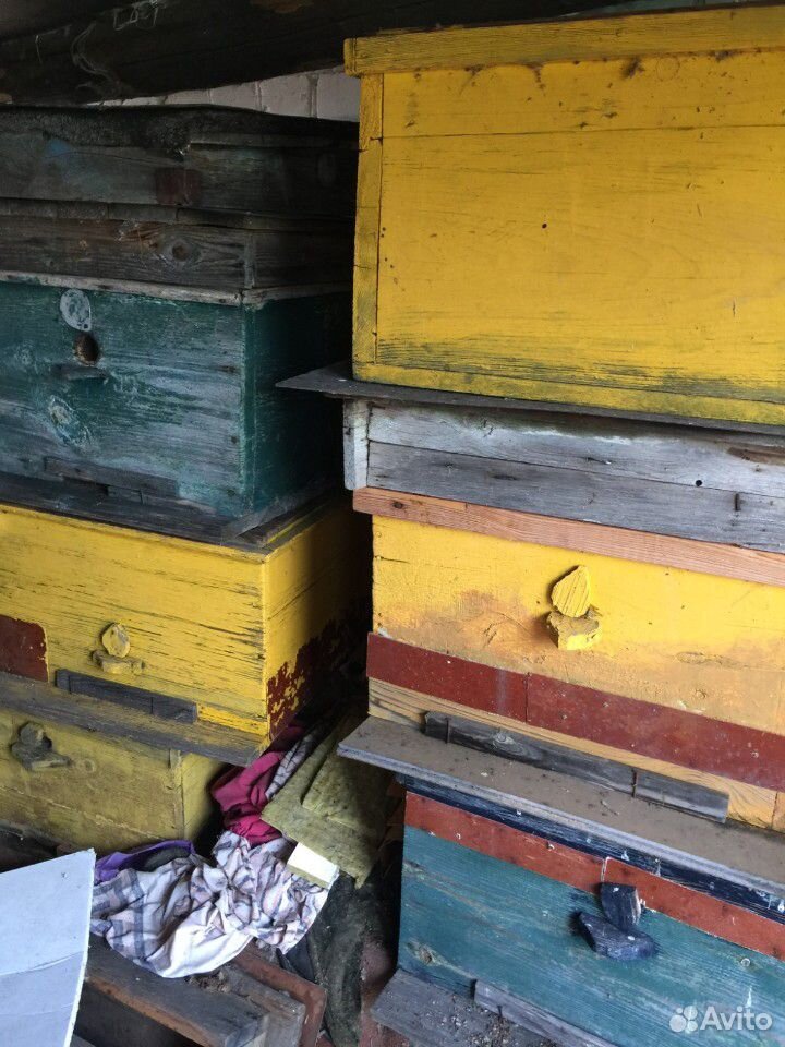 Продам ульи для пчёл, рамки купить на Зозу.ру - фотография № 3