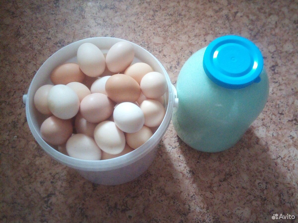 Яйца и козье молоко купить на Зозу.ру - фотография № 1