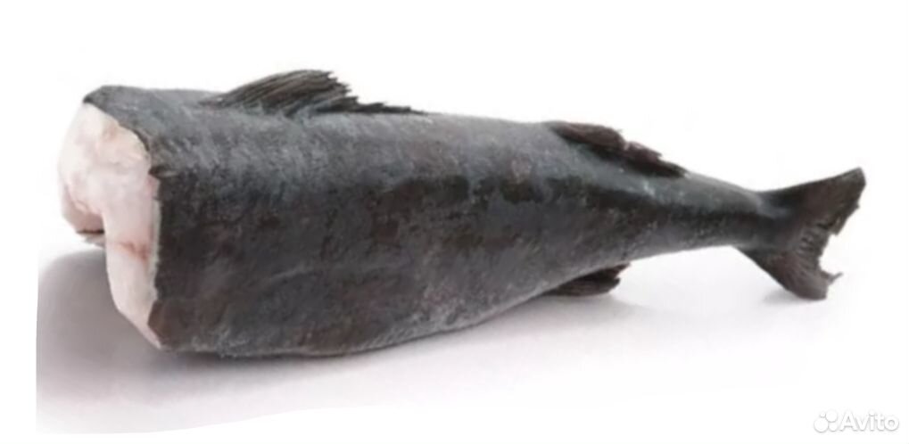 Угольная рыба купить на Зозу.ру - фотография № 1