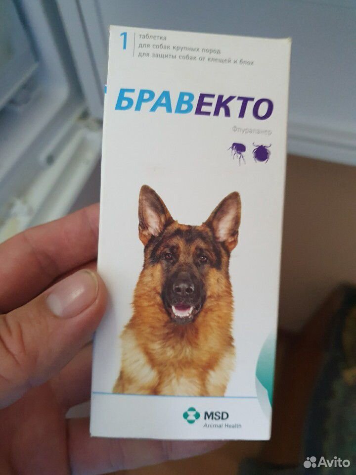 Бравекто для крупных пород собак против блох и кле купить на Зозу.ру - фотография № 1