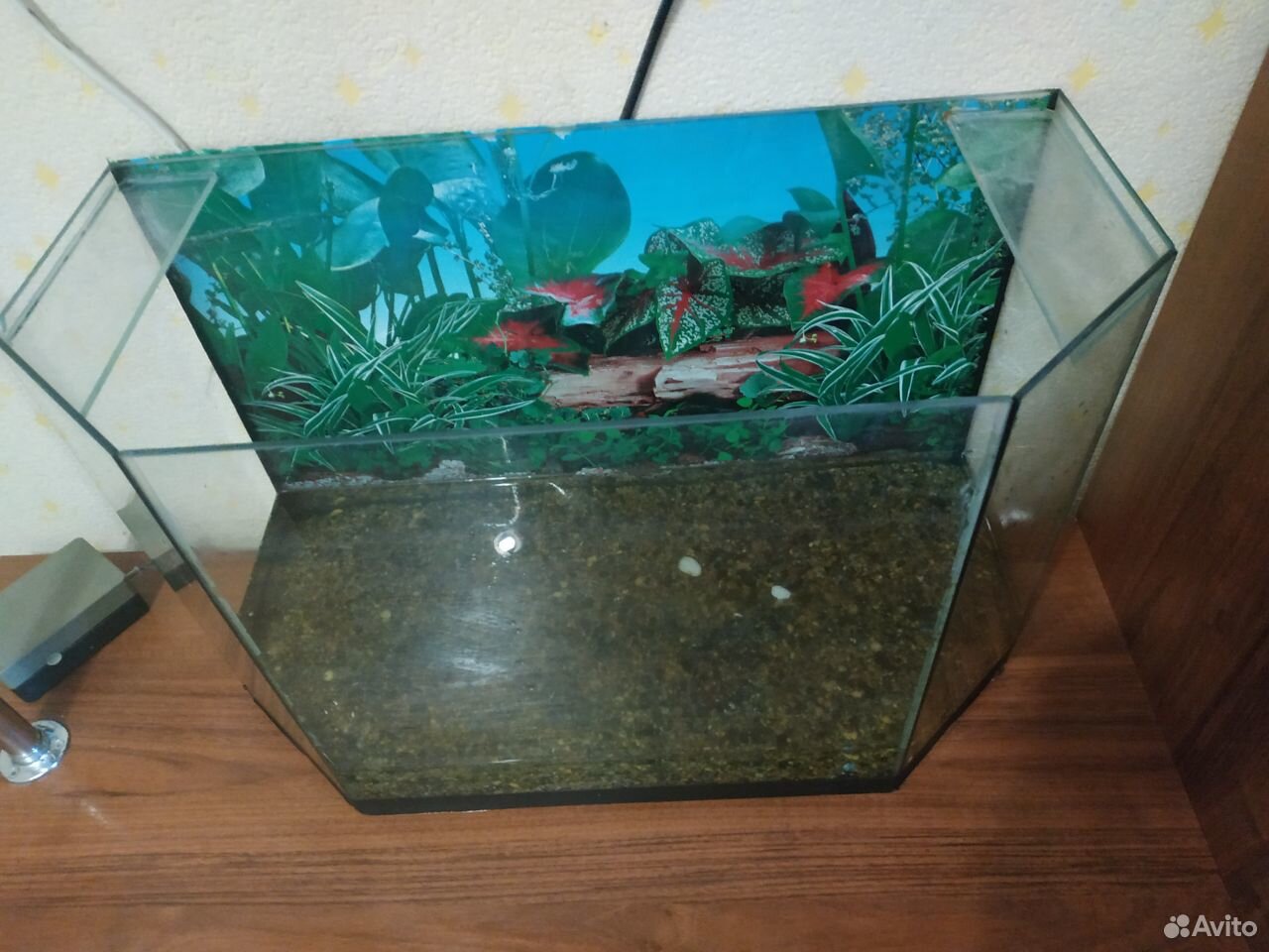 Продам аквариум со всеми принадлежностями купить на Зозу.ру - фотография № 2