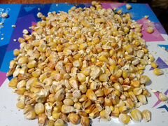 Кукуруза и мука кукурузы