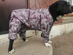 Зимний костюм для собак