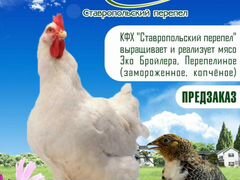 Эко ферма "Ставропольский перепел"
