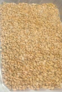 Пшеница продовольственная Ячмень Горох