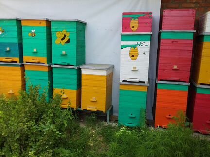 Ящики с пчёлами, улья