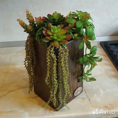 Композиция из суккулентов