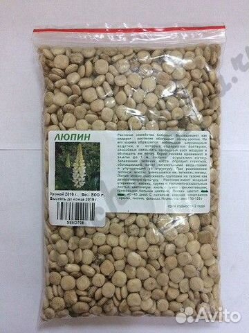 Купить Люпин Кормовой Семена
