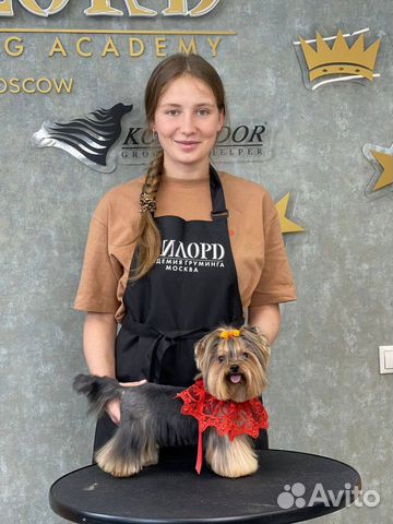 Груминг стрижка собак и кошек