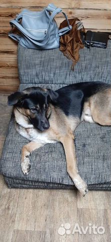 Случка кабеля