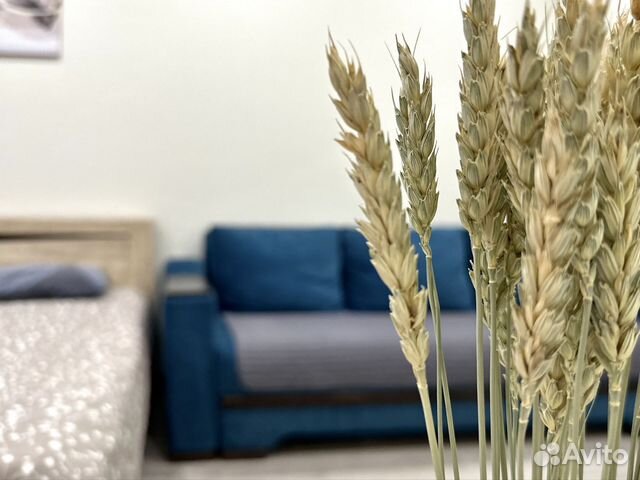 

1-к. квартира, 42 м², 2 кровати