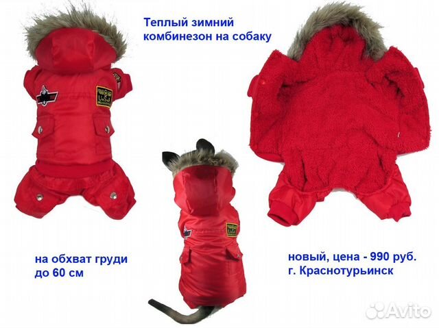 Комбинезон на собаку, утепленный, новый купить на Зозу.ру - фотография № 1