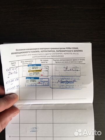 Вязка Вязка