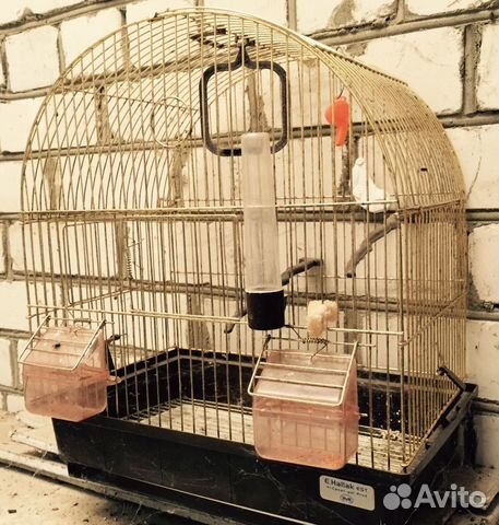 Клетка попугая купить на Зозу.ру - фотография № 1