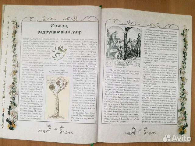 Царство флоры