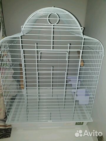 Клетка новая