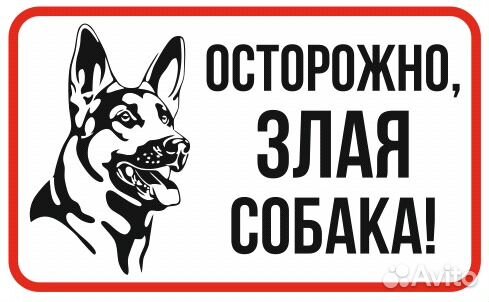 К чему воет собака во дворе. Футболка осторожно злая собака. Нашивка злая собака. Во дворе собака табличка. Злая собака карикатура.