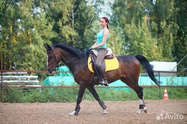 Лошадь в аренду с возможностью продажи купить на Зозу.ру - фотография № 3