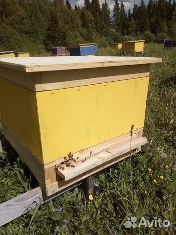 Каркасные ульи для пчел купить на Зозу.ру - фотография № 1