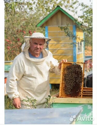 Пчелоинвентарь купить на Зозу.ру - фотография № 2