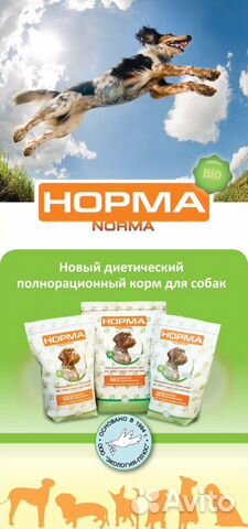 Корм для собак
