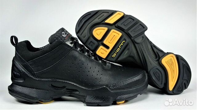 Ecco biom C