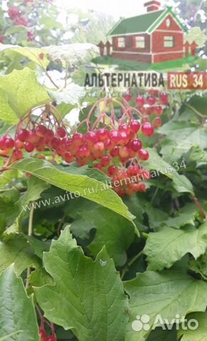 Дача 31 м² на участке 6 сот. Дача 31 м² на участке 6 сот.