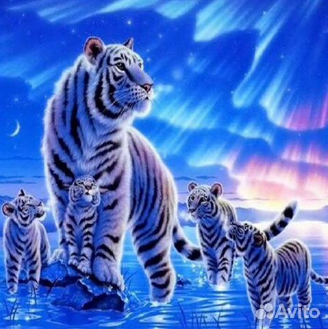 Картина по номерам 40*50 см Белые тигры