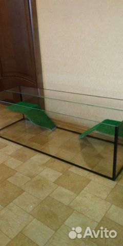 Черепашник с двумя мостами