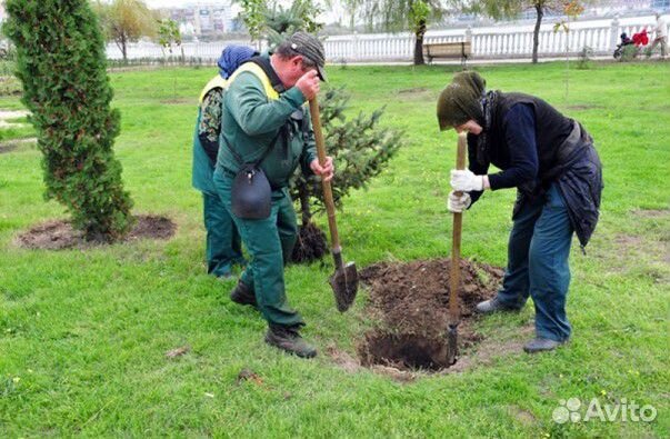 Грузчики, работники на производство Грузчики, работники на производство
