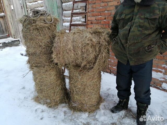 Сельхозкорма купить на Зозу.ру - фотография № 1