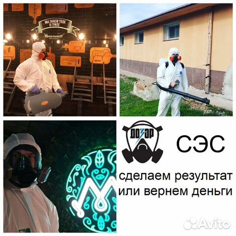 Уничтожение Клопов Тараканов Клещей Кротов Мышей Уничтожение Клопов Тараканов Клещей Кротов Мышей