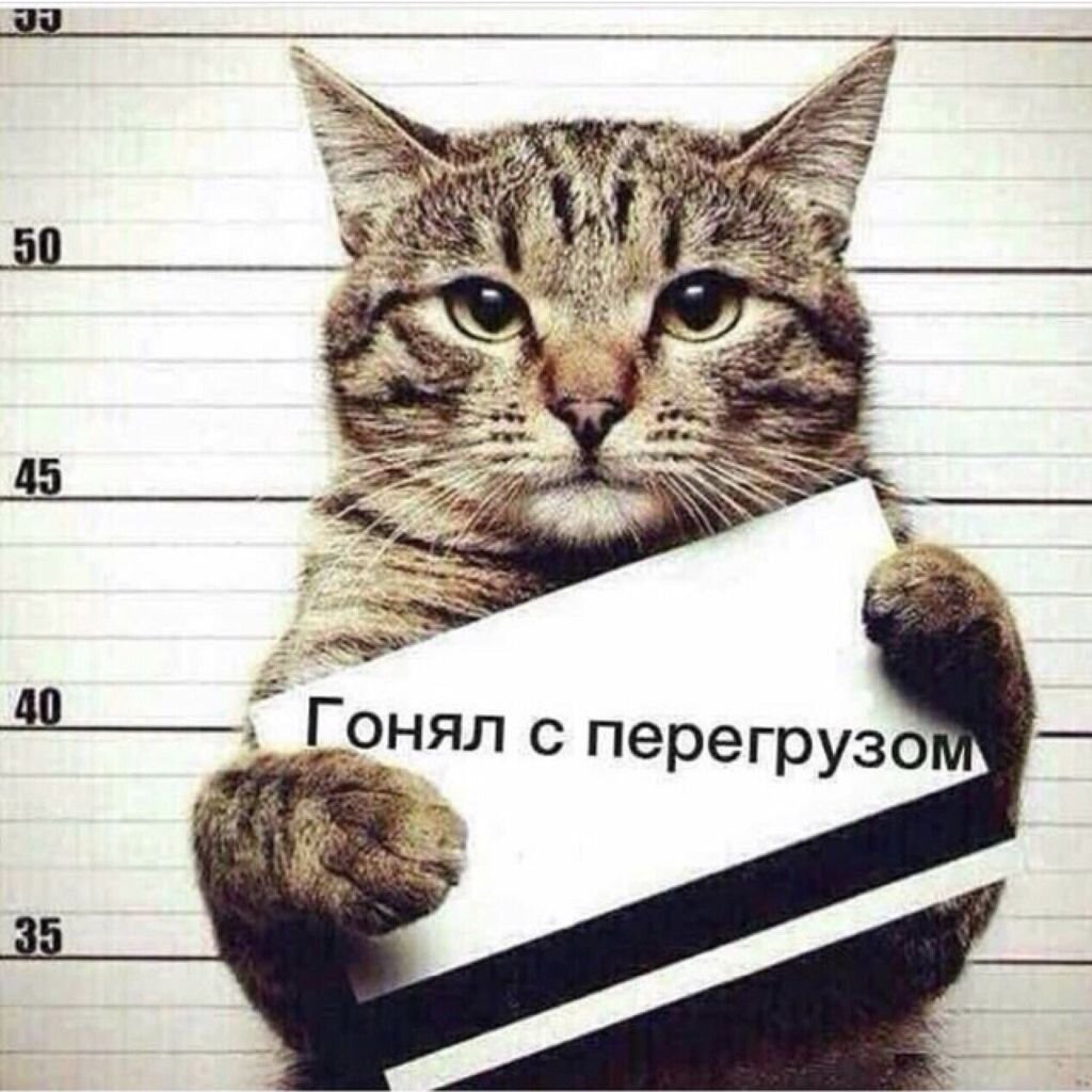 Прикольные картинки гонял с перегрузом