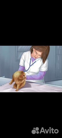 Ветеринарный врач на дом