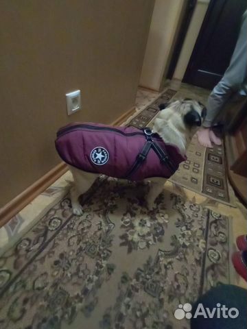 Зимняя куртка для собаки