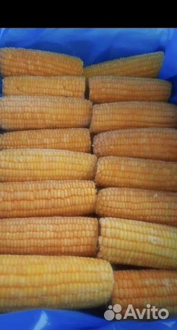 Кукуруза в початках