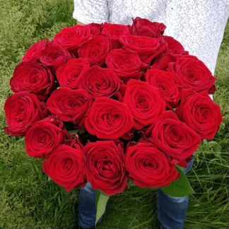 Розы 25 штук