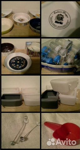 Разное для грызунов и не только