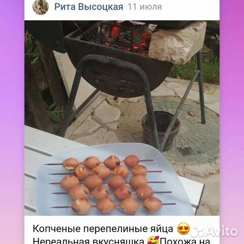 Яйцо домашнее