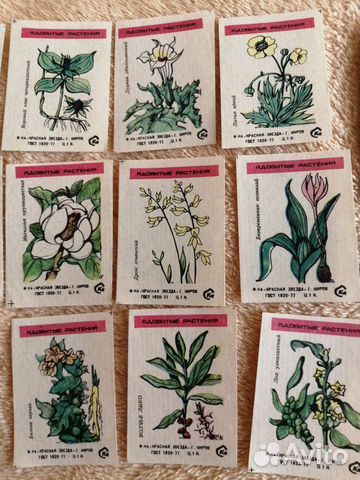 Коллеционная этикетка