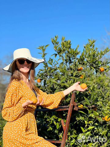 Гид Индивидуальные Экскурсии Абхазия, Сочи