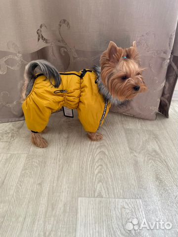 Зимний комбинезон пуховик одежда для собак