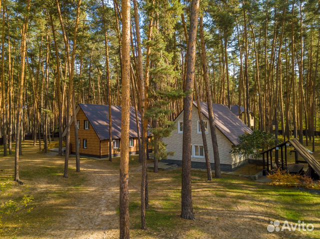 Дтп в шебекинском районе за прошедшие сутки фото