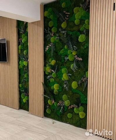 Мох стабилизированный фитокартина фитостена панно