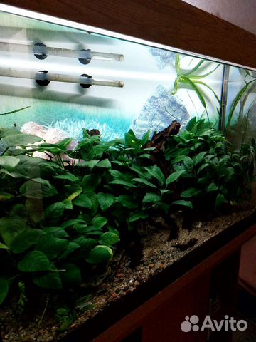 Аквариум с тумбой 180л